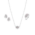 Ensemble Regard Rose